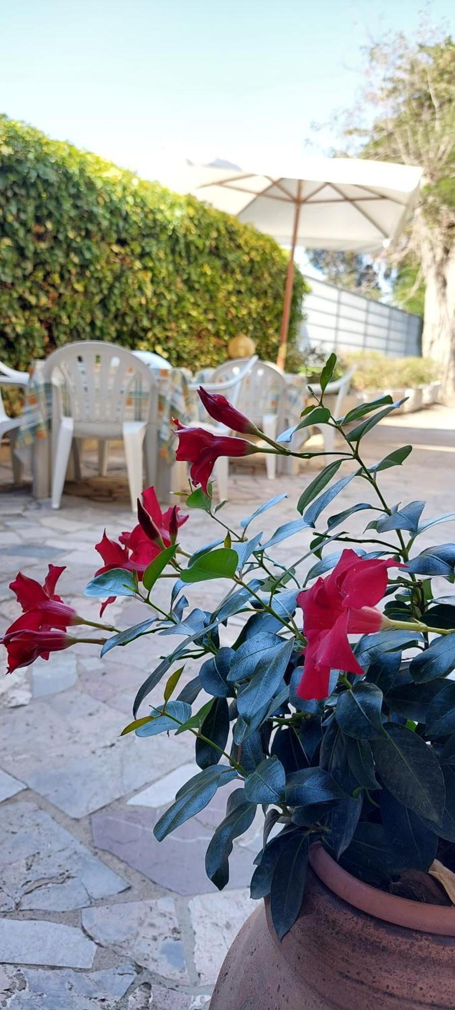 Hotel Lea غروسيتو المظهر الخارجي الصورة